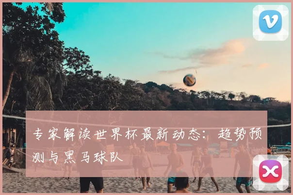 专家解读世界杯最新动态：趋势预测与黑马球队