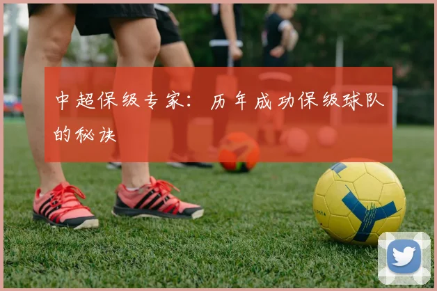 中超保级专家：历年成功保级球队的秘诀
