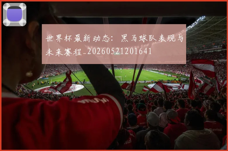 世界杯最新动态：黑马球队表现与未来赛程_20260521201641