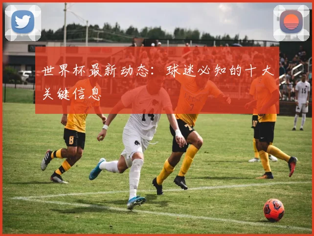 世界杯最新动态：球迷必知的十大关键信息